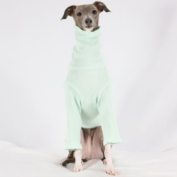 画像30: イタグレ服 S M L XL 2XL 3XL ワッフル 無地 長袖  Tシャツ 小型犬 中型犬 大型犬 春夏秋冬 吸湿性 シンプル 室内着 パジャマ doggystar ドッギースター 即日発送出来ます  (30)
