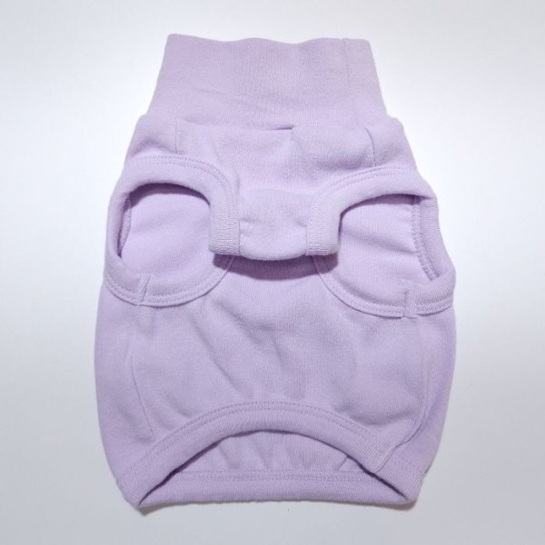 画像14: イタグレ服 S M L XL 2XL 3XL 無地 パステルカラー クロップド トップス ショート丈Tシャツ 小型犬 中型犬 大型犬 春 夏服 doggystar ドッギースター 即日発送出来ます (14)