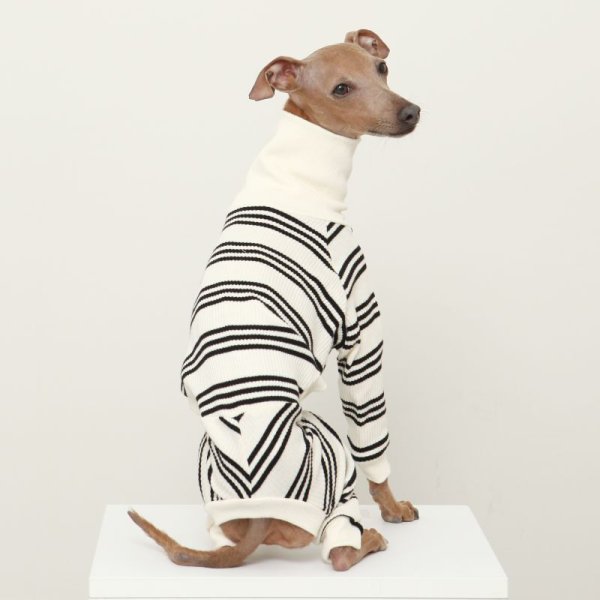 画像38: イタグレ服  S M L XL 2XL 3XL ボーダーロンパース つなぎ 小型犬 中型犬 大型犬 春夏服 秋冬服 doggystar ドッギースター 伸縮性抜群 即日発送致します (38)