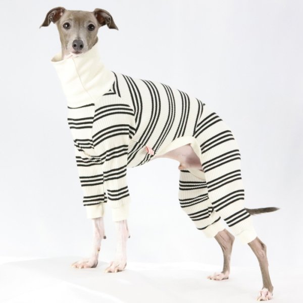 画像41: イタグレ服  S M L XL 2XL 3XL ボーダーロンパース つなぎ 小型犬 中型犬 大型犬 春夏服 秋冬服 doggystar ドッギースター 伸縮性抜群 即日発送致します (41)