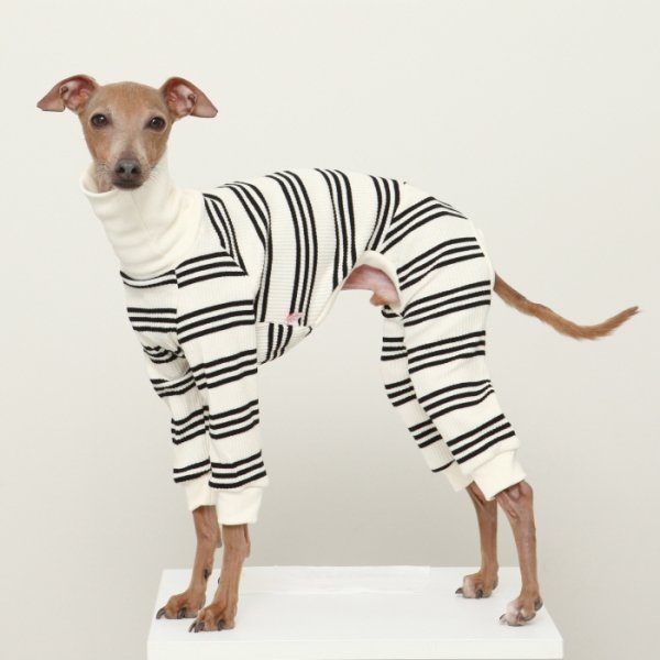 画像33: イタグレ服  S M L XL 2XL 3XL ボーダーロンパース つなぎ 小型犬 中型犬 大型犬 春夏服 秋冬服 doggystar ドッギースター 伸縮性抜群 即日発送致します (33)
