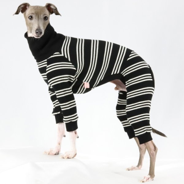 画像42: イタグレ服  S M L XL 2XL 3XL ボーダーロンパース つなぎ 小型犬 中型犬 大型犬 春夏服 秋冬服 doggystar ドッギースター 伸縮性抜群 即日発送致します (42)