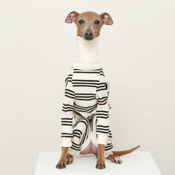 画像25: イタグレ服  S M L XL 2XL 3XL ボーダーロンパース つなぎ 小型犬 中型犬 大型犬 春夏服 秋冬服 doggystar ドッギースター 伸縮性抜群 即日発送致します (25)