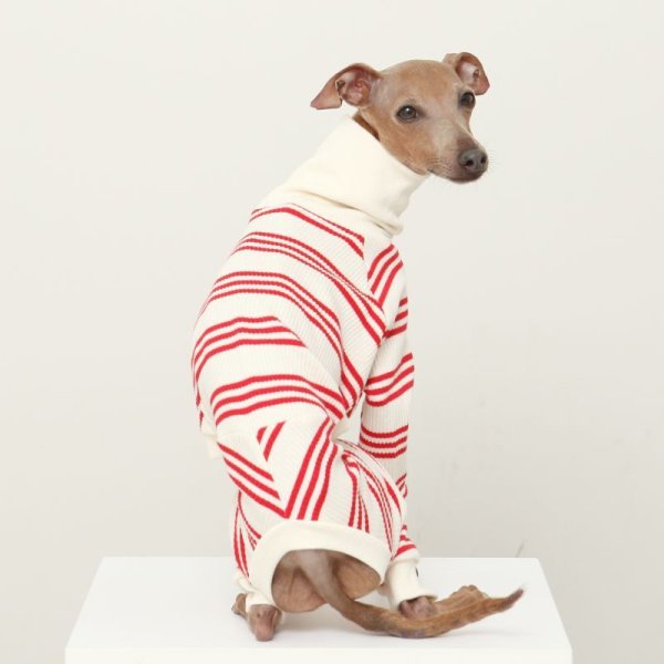 画像34: イタグレ服  S M L XL 2XL 3XL ボーダーロンパース つなぎ 小型犬 中型犬 大型犬 春夏服 秋冬服 doggystar ドッギースター 伸縮性抜群 即日発送致します (34)