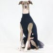 画像25: イタグレ服 S M L XL 小型犬 中型犬 春夏 doggystar チュチュ レギンス ワンピース 即日発送できます (25)