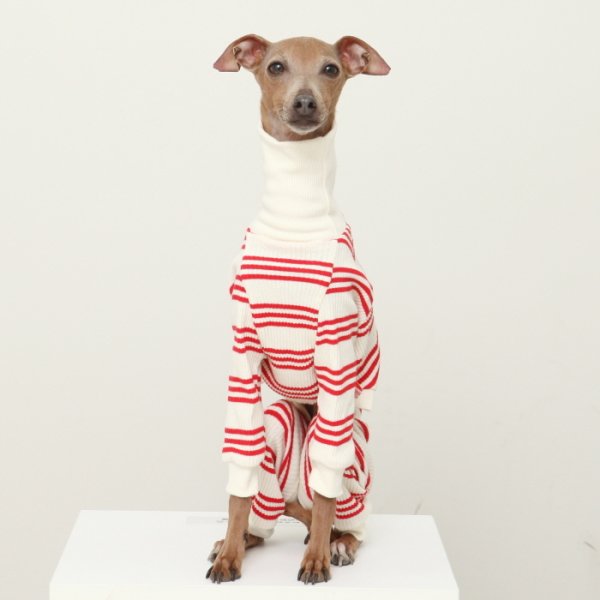 画像26: イタグレ服  S M L XL 2XL 3XL ボーダーロンパース つなぎ 小型犬 中型犬 大型犬 春夏服 秋冬服 doggystar ドッギースター 伸縮性抜群 即日発送致します (26)