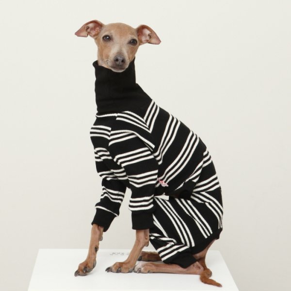 画像39: イタグレ服  S M L XL 2XL 3XL ボーダーロンパース つなぎ 小型犬 中型犬 大型犬 春夏服 秋冬服 doggystar ドッギースター 伸縮性抜群 即日発送致します (39)