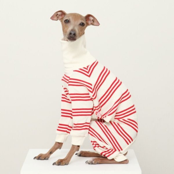 画像40: イタグレ服  S M L XL 2XL 3XL ボーダーロンパース つなぎ 小型犬 中型犬 大型犬 春夏服 秋冬服 doggystar ドッギースター 伸縮性抜群 即日発送致します (40)