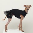 画像23: イタグレ服 S M L XL 小型犬 中型犬 春夏 doggystar チュチュ レギンス ワンピース 即日発送できます (23)