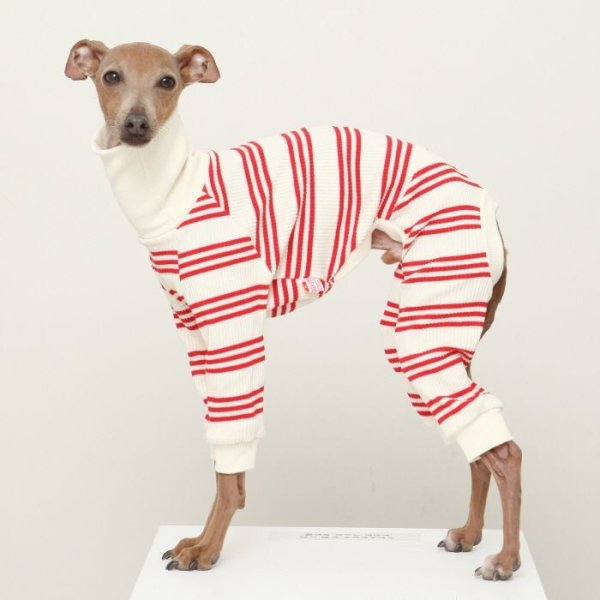 画像30: イタグレ服  S M L XL 2XL 3XL ボーダーロンパース つなぎ 小型犬 中型犬 大型犬 春夏服 秋冬服 doggystar ドッギースター 伸縮性抜群 即日発送致します (30)