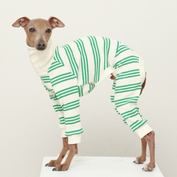 画像31: イタグレ服  S M L XL 2XL 3XL ボーダーロンパース つなぎ 小型犬 中型犬 大型犬 春夏服 秋冬服 doggystar ドッギースター 伸縮性抜群 即日発送致します (31)