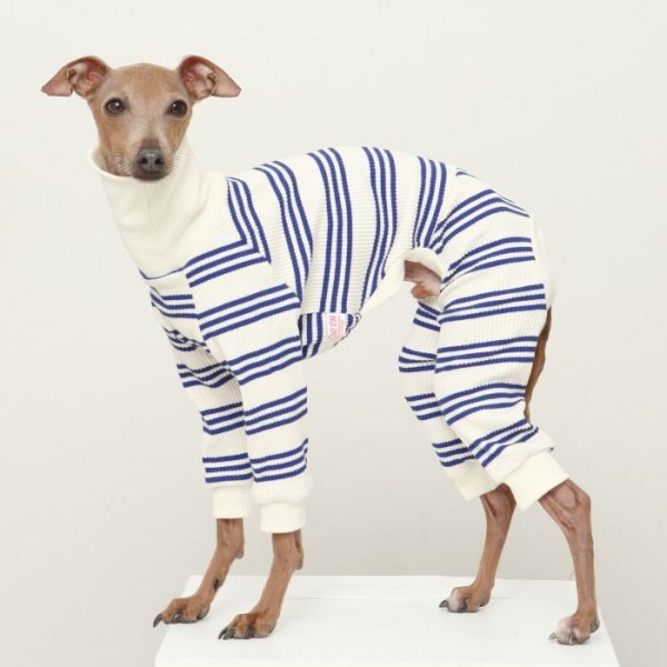 画像32: イタグレ服  S M L XL 2XL 3XL ボーダーロンパース つなぎ 小型犬 中型犬 大型犬 春夏服 秋冬服 doggystar ドッギースター 伸縮性抜群 即日発送致します (32)