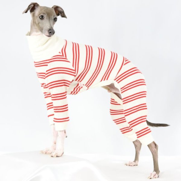 画像43: イタグレ服  S M L XL 2XL 3XL ボーダーロンパース つなぎ 小型犬 中型犬 大型犬 春夏服 秋冬服 doggystar ドッギースター 伸縮性抜群 即日発送致します (43)