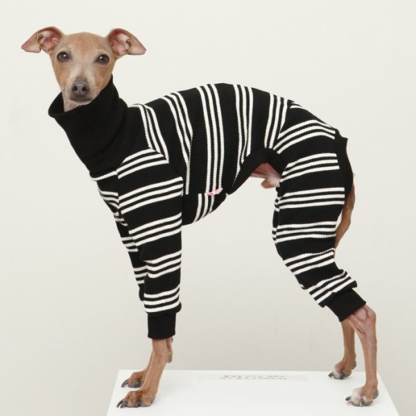画像29: イタグレ服  S M L XL 2XL 3XL ボーダーロンパース つなぎ 小型犬 中型犬 大型犬 春夏服 秋冬服 doggystar ドッギースター 伸縮性抜群 即日発送致します (29)