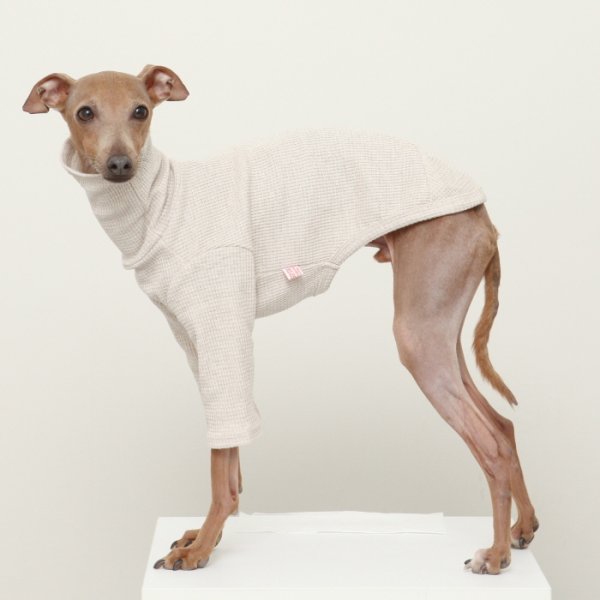 画像26: イタグレ服 S M L XL 2XL 3XL ワッフル 無地 長袖  Tシャツ 小型犬 中型犬 大型犬 春夏秋冬 吸湿性 シンプル 室内着 パジャマ doggystar ドッギースター 即日発送出来ます  (26)