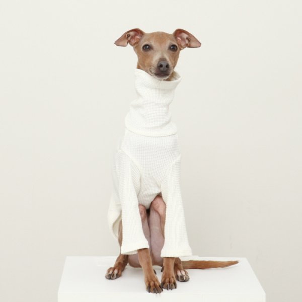 画像27: イタグレ服 S M L XL 2XL 3XL ワッフル 無地 長袖  Tシャツ 小型犬 中型犬 大型犬 春夏秋冬 吸湿性 シンプル 室内着 パジャマ doggystar ドッギースター 即日発送出来ます  (27)