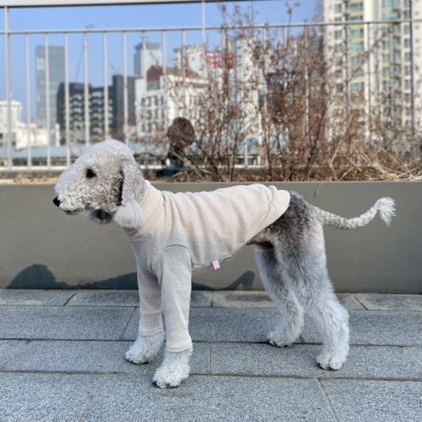 画像37: イタグレ服 S M L XL 2XL 3XL ワッフル 無地 長袖  Tシャツ 小型犬 中型犬 大型犬 春夏秋冬 吸湿性 シンプル 室内着 パジャマ doggystar ドッギースター 即日発送出来ます  (37)