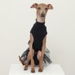 画像19: イタグレ服 S M L XL 小型犬 中型犬 春夏 doggystar チュチュ レギンス ワンピース 即日発送できます (19)