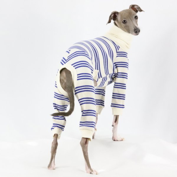 画像45: イタグレ服  S M L XL 2XL 3XL ボーダーロンパース つなぎ 小型犬 中型犬 大型犬 春夏服 秋冬服 doggystar ドッギースター 伸縮性抜群 即日発送致します (45)