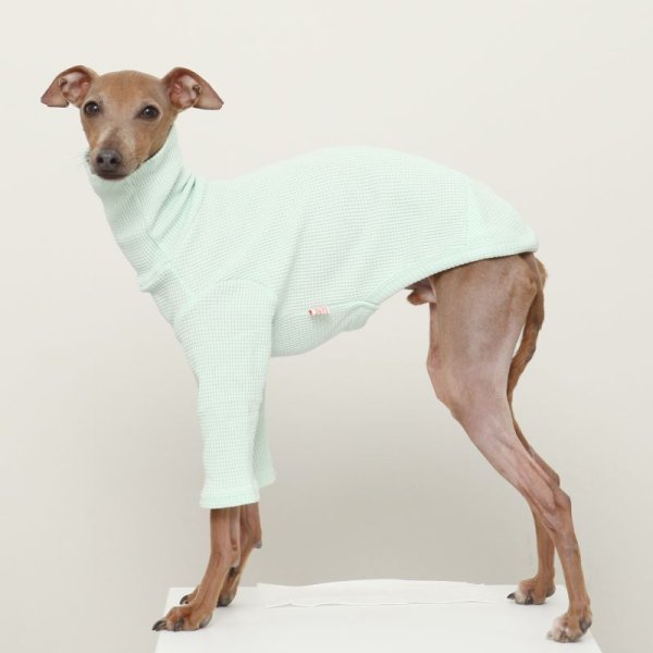 画像29: イタグレ服 S M L XL 2XL 3XL ワッフル 無地 長袖  Tシャツ 小型犬 中型犬 大型犬 春夏秋冬 吸湿性 シンプル 室内着 パジャマ doggystar ドッギースター 即日発送出来ます  (29)