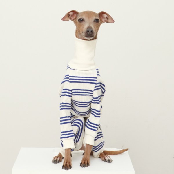 画像27: イタグレ服  S M L XL 2XL 3XL ボーダーロンパース つなぎ 小型犬 中型犬 大型犬 春夏服 秋冬服 doggystar ドッギースター 伸縮性抜群 即日発送致します (27)