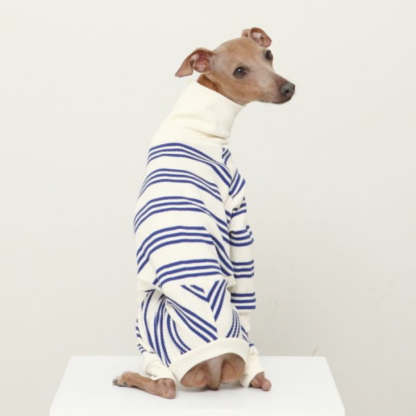 画像35: イタグレ服  S M L XL 2XL 3XL ボーダーロンパース つなぎ 小型犬 中型犬 大型犬 春夏服 秋冬服 doggystar ドッギースター 伸縮性抜群 即日発送致します (35)