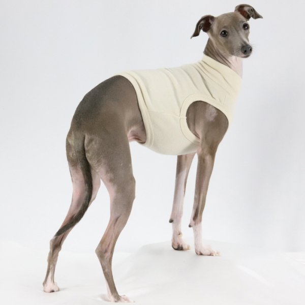 画像29: イタグレ服 S M L XL 2XL 3XL 無地 パステルカラー クロップド トップス ショート丈Tシャツ 小型犬 中型犬 大型犬 春 夏服 doggystar ドッギースター 即日発送出来ます (29)