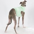 画像27: イタグレ服 S M L XL 小型犬 中型犬 春 夏服 doggystar 無地 パステルカラー クロップド トップス ショート丈Tシャツ 即日発送出来ます (27)