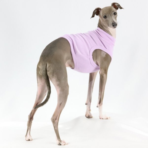 画像26: イタグレ服 S M L XL 2XL 3XL 無地 パステルカラー クロップド トップス ショート丈Tシャツ 小型犬 中型犬 大型犬 春 夏服 doggystar ドッギースター 即日発送出来ます (26)