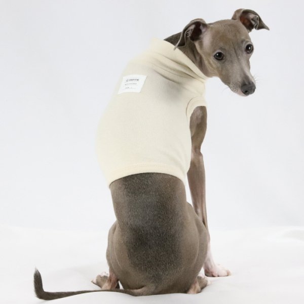 画像25: イタグレ服 S M L XL 2XL 3XL 無地 パステルカラー クロップド トップス ショート丈Tシャツ 小型犬 中型犬 大型犬 春 夏服 doggystar ドッギースター 即日発送出来ます (25)