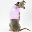 画像21: イタグレ服 S M L XL 小型犬 中型犬 春 夏服 doggystar 無地 パステルカラー クロップド トップス ショート丈Tシャツ 即日発送出来ます (21)