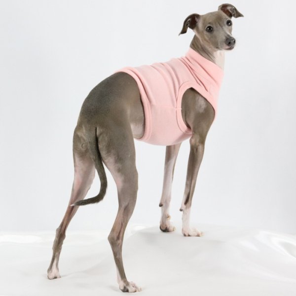 画像27: イタグレ服 S M L XL 2XL 3XL 無地 パステルカラー クロップド トップス ショート丈Tシャツ 小型犬 中型犬 大型犬 春 夏服 doggystar ドッギースター 即日発送出来ます (27)