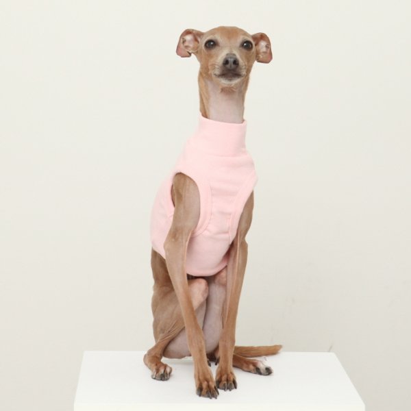 画像31: イタグレ服 S M L XL 2XL 3XL 無地 パステルカラー クロップド トップス ショート丈Tシャツ 小型犬 中型犬 大型犬 春 夏服 doggystar ドッギースター 即日発送出来ます (31)