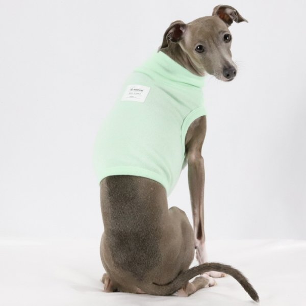 画像24: イタグレ服 S M L XL 2XL 3XL 無地 パステルカラー クロップド トップス ショート丈Tシャツ 小型犬 中型犬 大型犬 春 夏服 doggystar ドッギースター 即日発送出来ます (24)