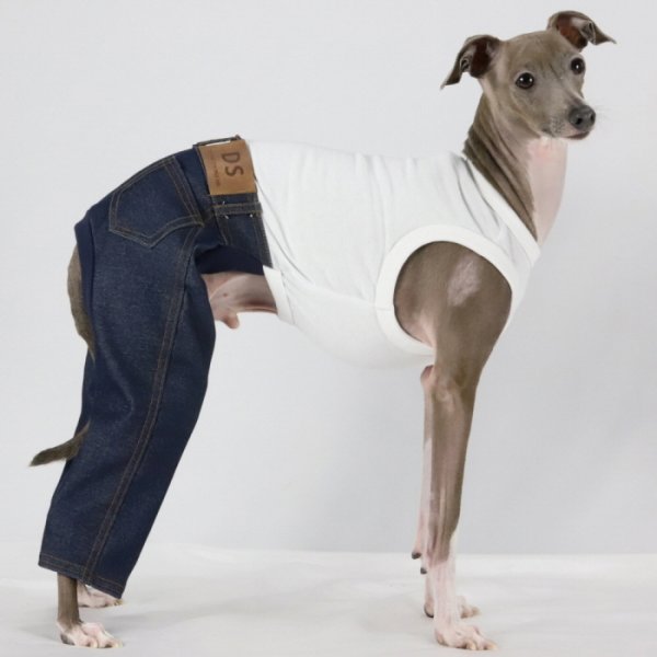 画像8: イタグレ服  S M L XL 2XL 3XL デニム ロンパース つなぎ 小型犬 中型犬 大型犬 春夏服 秋冬服 doggystar ドッギースター  伸縮性抜群 即日発送致します (8)