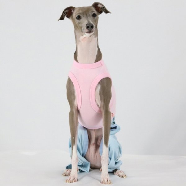 画像13: イタグレ服  S M L XL 2XL 3XL デニム ロンパース つなぎ 小型犬 中型犬 大型犬 春夏服 秋冬服 doggystar ドッギースター  伸縮性抜群 即日発送致します (13)