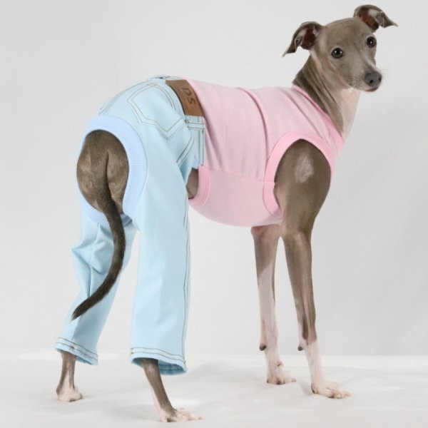 画像12: イタグレ服  S M L XL 2XL 3XL デニム ロンパース つなぎ 小型犬 中型犬 大型犬 春夏服 秋冬服 doggystar ドッギースター  伸縮性抜群 即日発送致します (12)