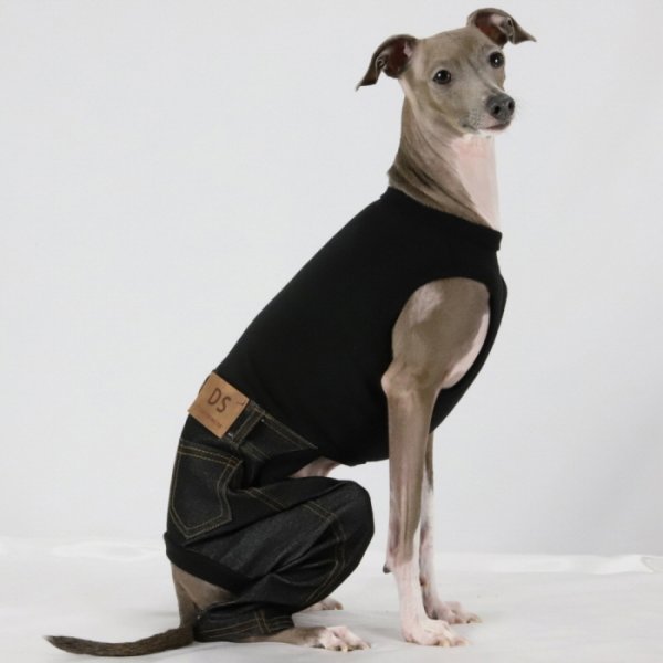 画像20: イタグレ服  S M L XL 2XL 3XL デニム ロンパース つなぎ 小型犬 中型犬 大型犬 春夏服 秋冬服 doggystar ドッギースター  伸縮性抜群 即日発送致します (20)