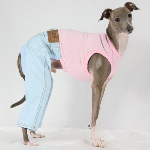 画像14: イタグレ服  S M L XL 2XL 3XL デニム ロンパース つなぎ 小型犬 中型犬 大型犬 春夏服 秋冬服 doggystar ドッギースター  伸縮性抜群 即日発送致します (14)