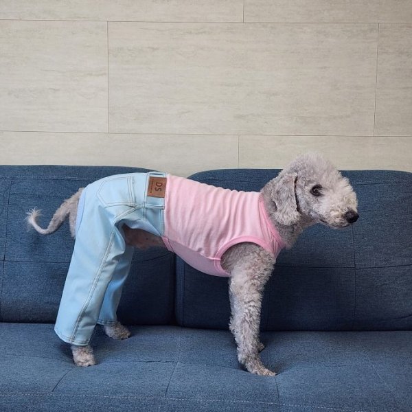 画像25: イタグレ服  S M L XL 2XL 3XL デニム ロンパース つなぎ 小型犬 中型犬 大型犬 春夏服 秋冬服 doggystar ドッギースター  伸縮性抜群 即日発送致します (25)
