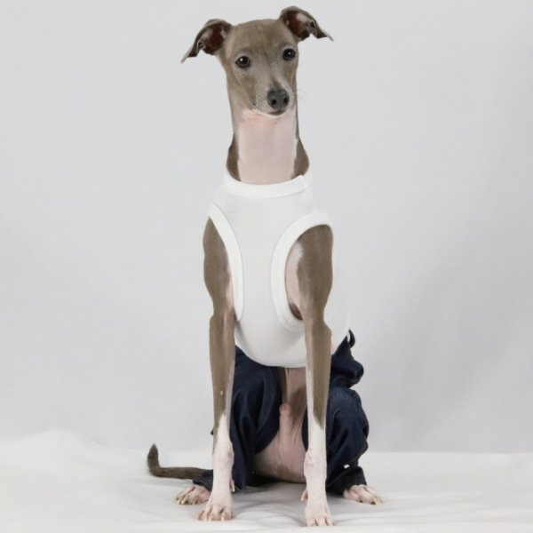 画像6: イタグレ服  S M L XL 2XL 3XL デニム ロンパース つなぎ 小型犬 中型犬 大型犬 春夏服 秋冬服 doggystar ドッギースター  伸縮性抜群 即日発送致します (6)