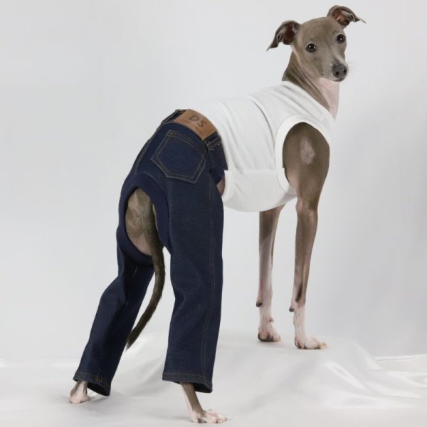 画像5: イタグレ服  S M L XL 2XL 3XL デニム ロンパース つなぎ 小型犬 中型犬 大型犬 春夏服 秋冬服 doggystar ドッギースター  伸縮性抜群 即日発送致します (5)