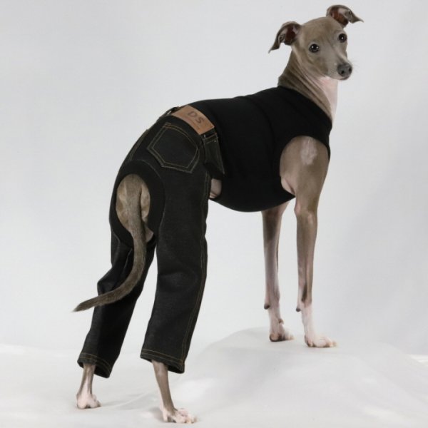 画像19: イタグレ服  S M L XL 2XL 3XL デニム ロンパース つなぎ 小型犬 中型犬 大型犬 春夏服 秋冬服 doggystar ドッギースター  伸縮性抜群 即日発送致します (19)