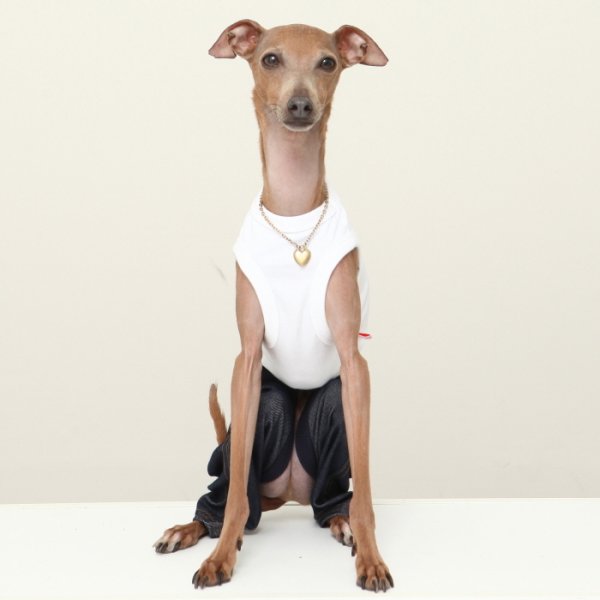 画像3: イタグレ服  S M L XL 2XL 3XL デニム ロンパース つなぎ 小型犬 中型犬 大型犬 春夏服 秋冬服 doggystar ドッギースター  伸縮性抜群 即日発送致します (3)