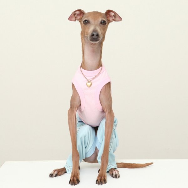 画像11: イタグレ服  S M L XL 2XL 3XL デニム ロンパース つなぎ 小型犬 中型犬 大型犬 春夏服 秋冬服 doggystar ドッギースター  伸縮性抜群 即日発送致します (11)