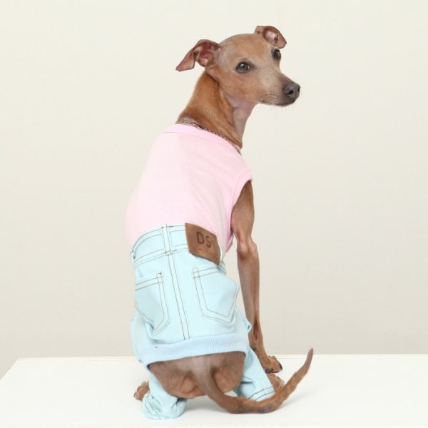 画像9: イタグレ服  S M L XL 2XL 3XL デニム ロンパース つなぎ 小型犬 中型犬 大型犬 春夏服 秋冬服 doggystar ドッギースター  伸縮性抜群 即日発送致します (9)