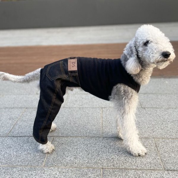 画像22: イタグレ服  S M L XL 2XL 3XL デニム ロンパース つなぎ 小型犬 中型犬 大型犬 春夏服 秋冬服 doggystar ドッギースター  伸縮性抜群 即日発送致します (22)