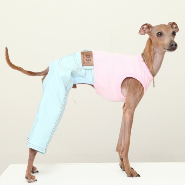 画像10: イタグレ服  S M L XL 2XL 3XL デニム ロンパース つなぎ 小型犬 中型犬 大型犬 春夏服 秋冬服 doggystar ドッギースター  伸縮性抜群 即日発送致します (10)