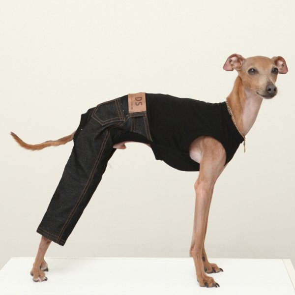 画像16: イタグレ服  S M L XL 2XL 3XL デニム ロンパース つなぎ 小型犬 中型犬 大型犬 春夏服 秋冬服 doggystar ドッギースター  伸縮性抜群 即日発送致します (16)