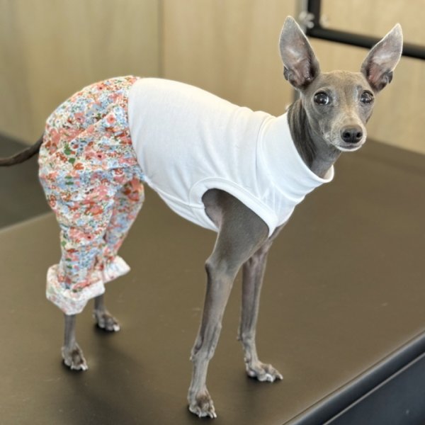 画像28: イタグレ服 S M L XL 2XL 3XL サルエルパンツ もんぺパンツ ロンパース つなぎ 花柄 ゆったり 小型犬 中型犬 大型犬 春夏 doggystar ドッギースター 即日発送出来ます  (28)